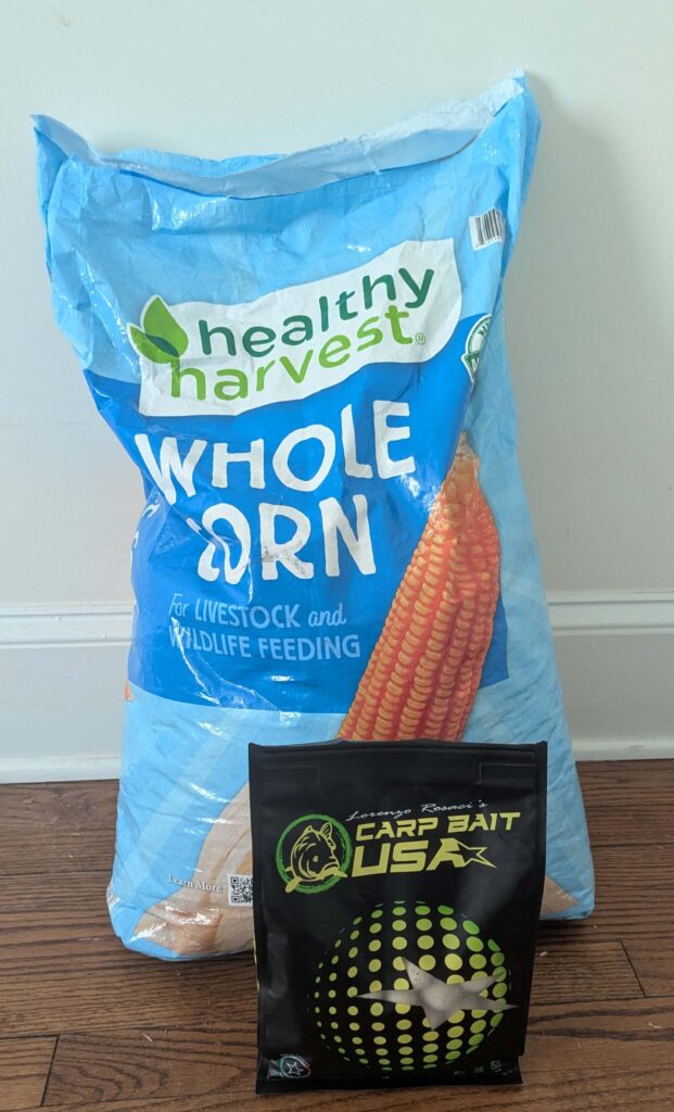 corn and boilies for carp fishing