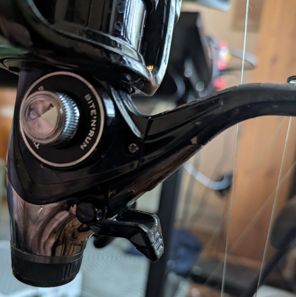 A baitrunner is a great beginner carp fishing reel.